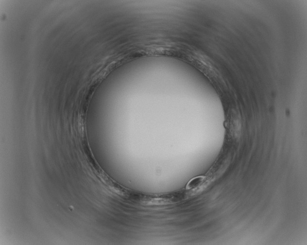 X0000062620467200512210917
