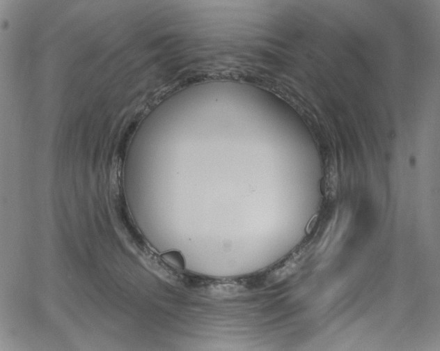 X0000062620468200512210917