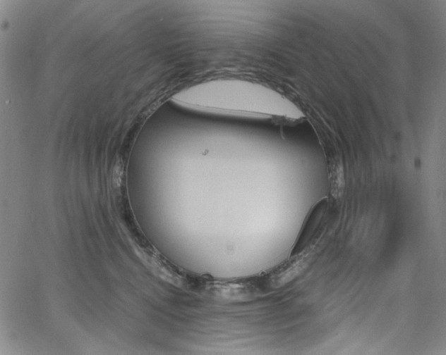 X0000062620472200512210917