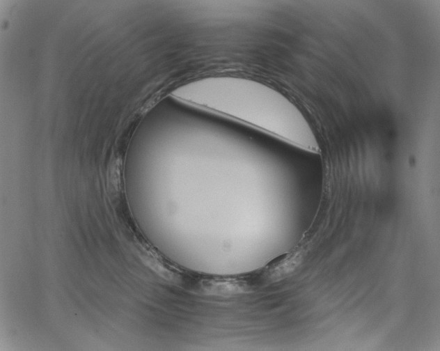 X0000062620475200512210917