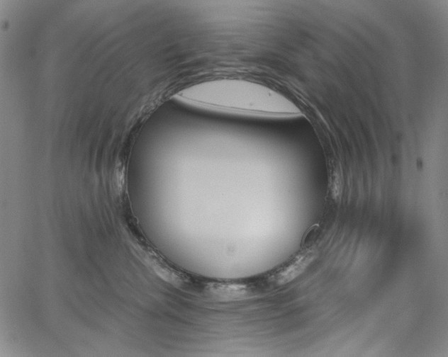 X0000062620476200512210917