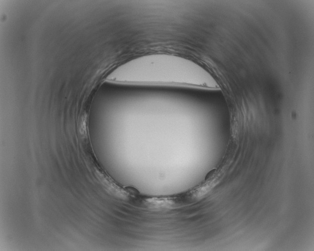X0000062620477200512210917