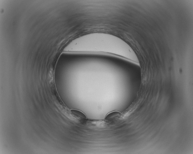 X0000062620478200512210917