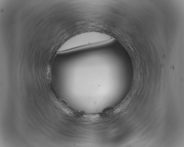 X0000062620480200512210917