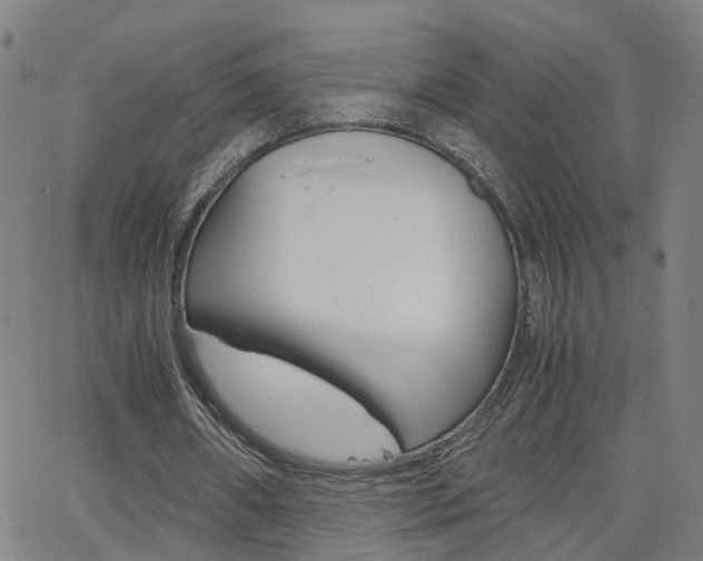 X0000062620482200512210916