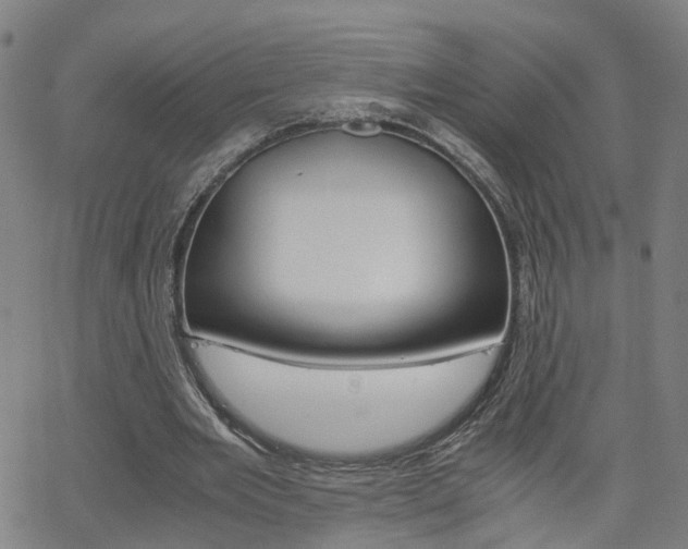 X0000062620485200512210916
