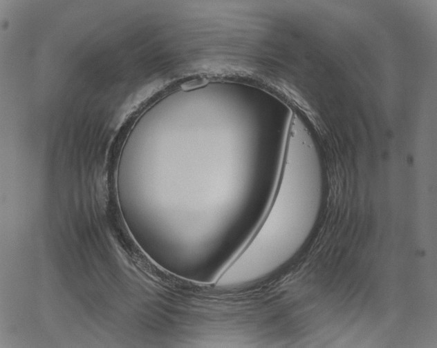 X0000062620488200512210916