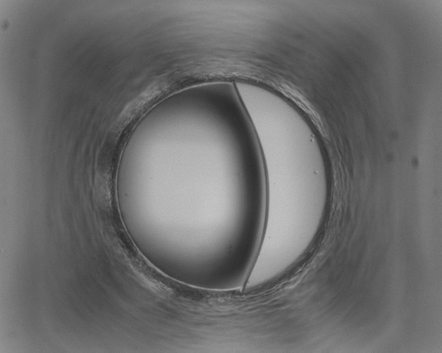 X0000062620489200512210916