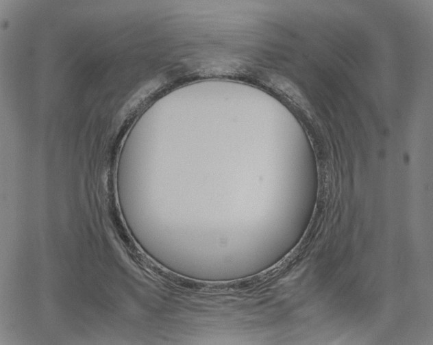 X0000062620491200512210916