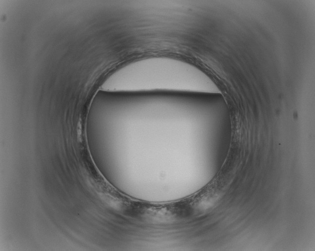 X0000062620502200512210916