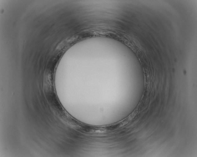 X0000062620506200512210916