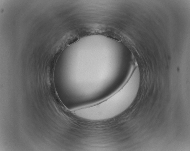 X0000062620512200512210915