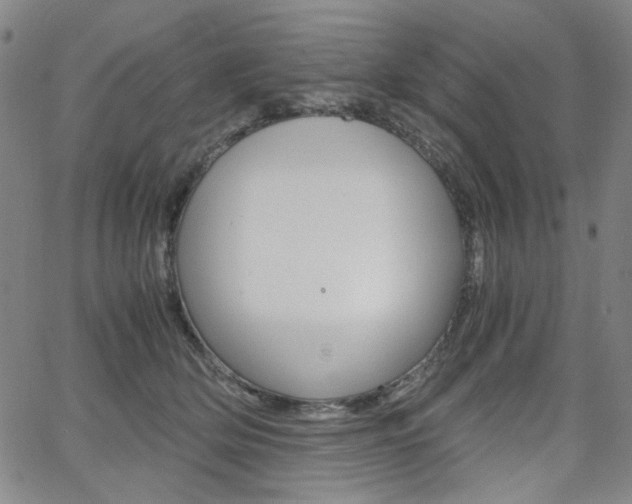 X0000062620514200512210915