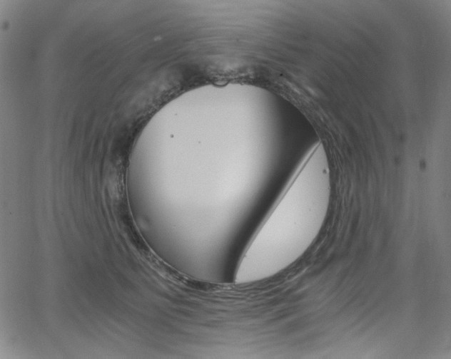 X0000062620515200512210915