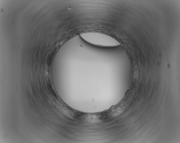 X0000062620518200512210915