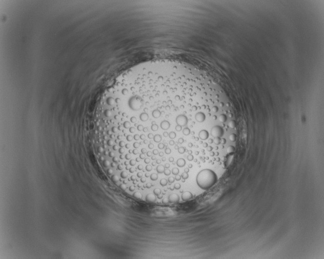 X0000062620519200512210915