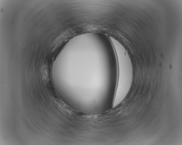 X0000062620524200512210915