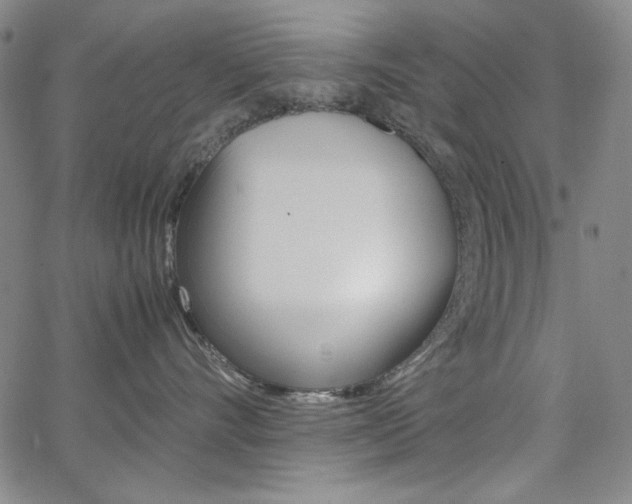 X0000062620528200512210915