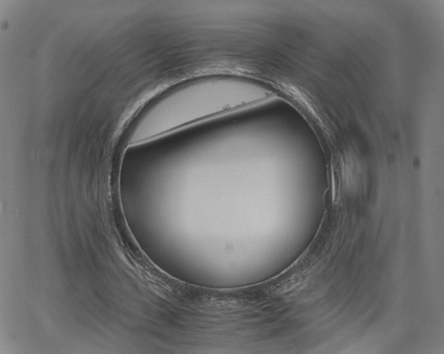 X0000062620531200512210914
