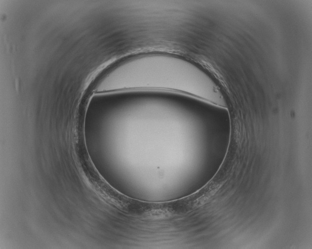 X0000062620536200512210915