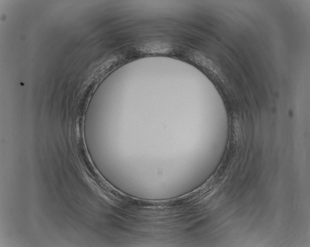 X0000062620541200512210915