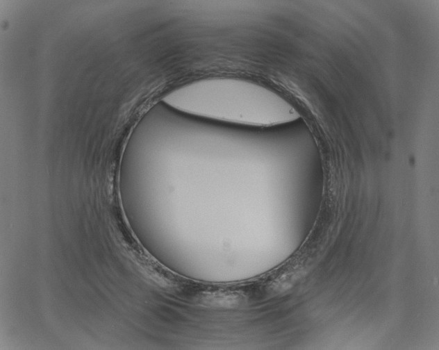X0000062620545200512210915