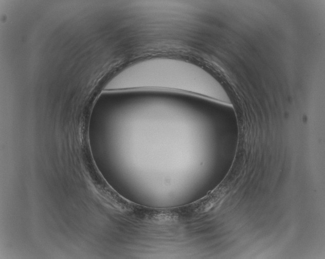 X0000062620546200512210915