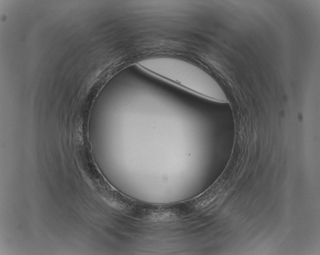 X0000062620547200512210915