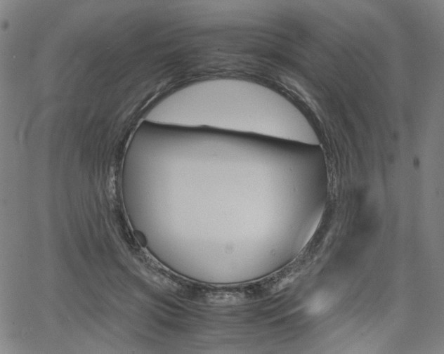 X0000062620549200512210915