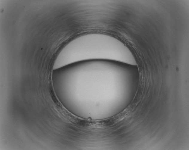 X0000062620550200512210915