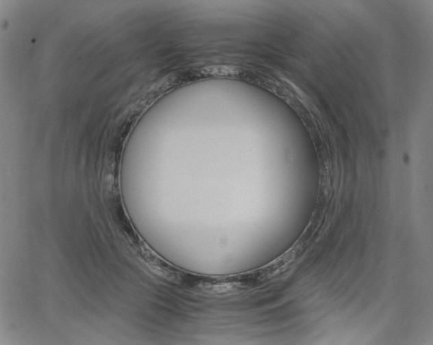X0000062620553200512210915