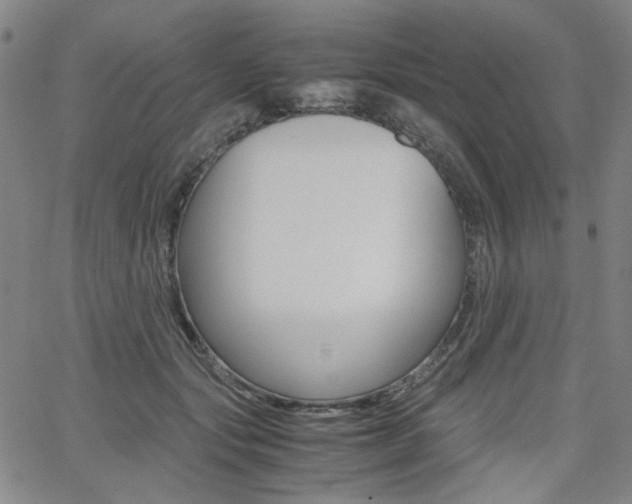X0000062620557200512210915