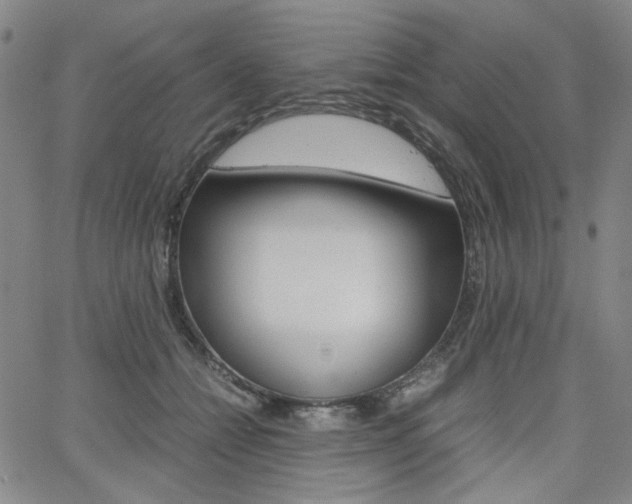 X0000062620558200512210915