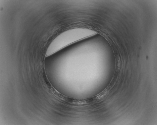 X0000062620559200512210915