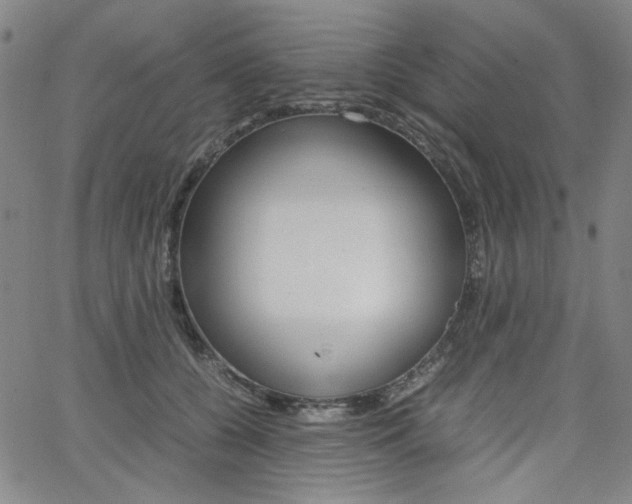 X0000062620560200512210915