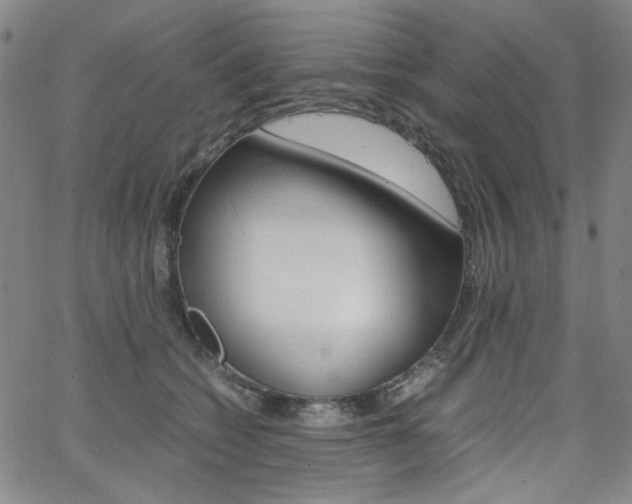 X0000062620562200512210915