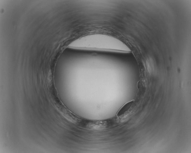 X0000062620563200512210915