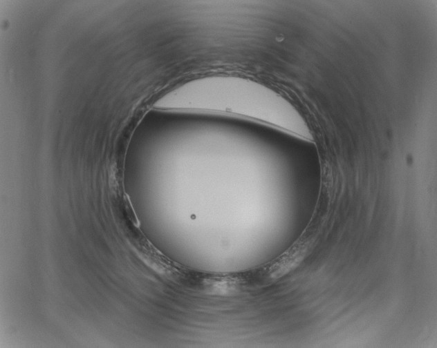 X0000062620564200512210915