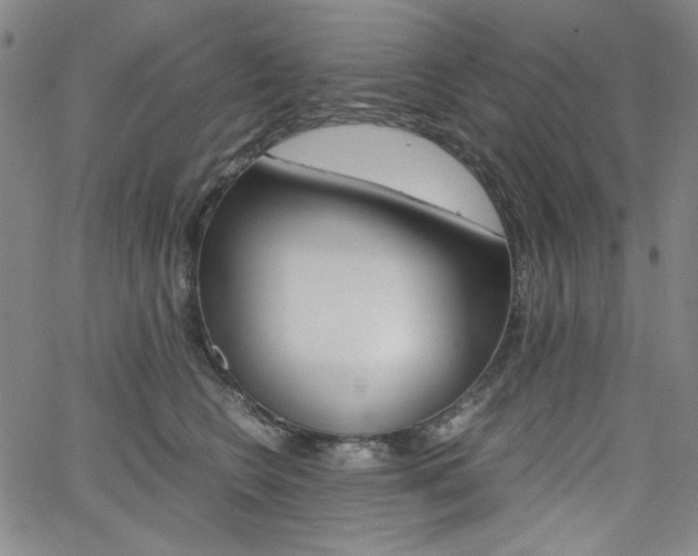 X0000062620566200512210915