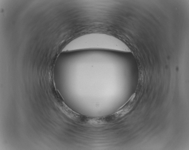 X0000062620568200512210915