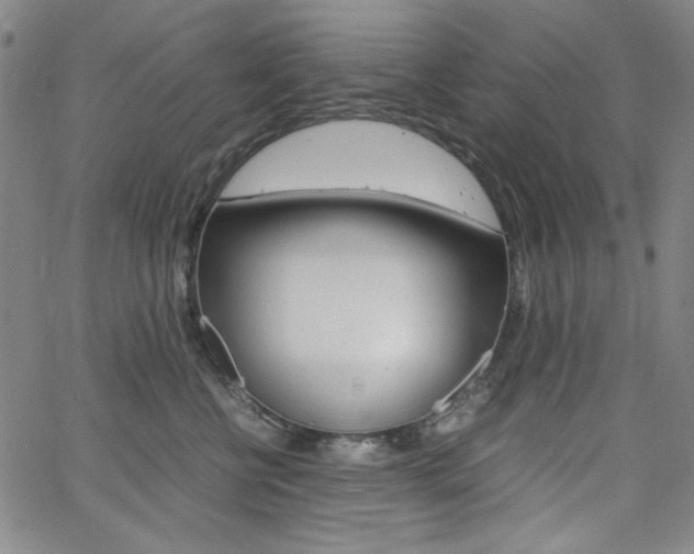 X0000062620570200512210915