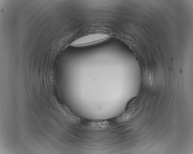X0000062620571200512210915