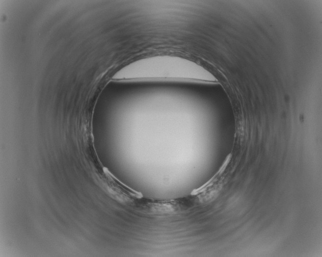X0000062620572200512210915