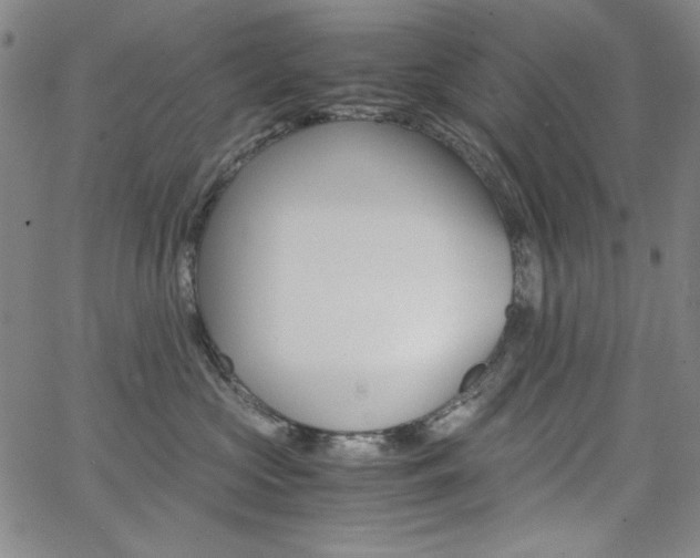 X0000062620573200512210915