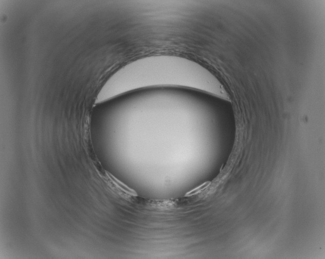 X0000062620576200512210915