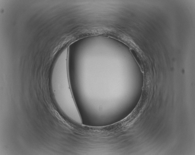 X0000062620585200512210914