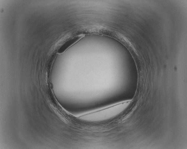 X0000062620589200512210914