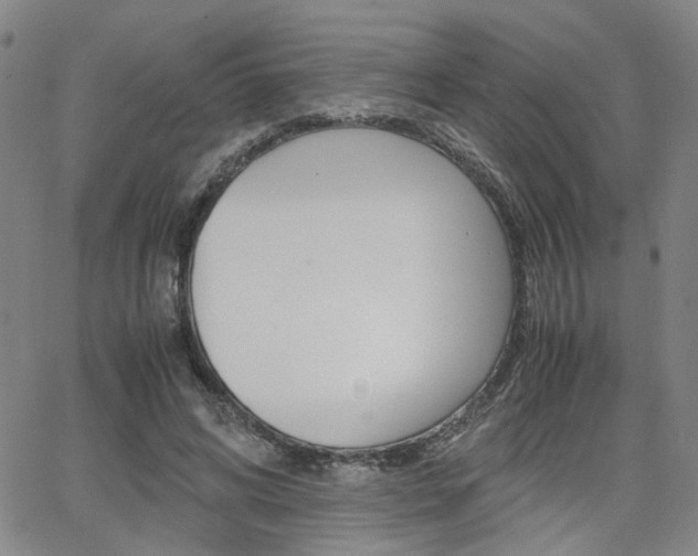 X0000062620592200512210914