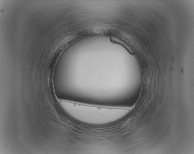 X0000062620595200512210914