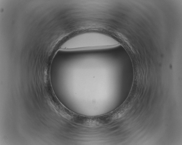 X0000062620596200512210914